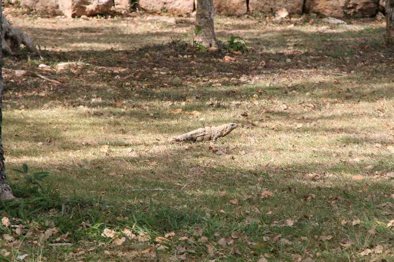 Mexico & Guatemala 2010 - 0158